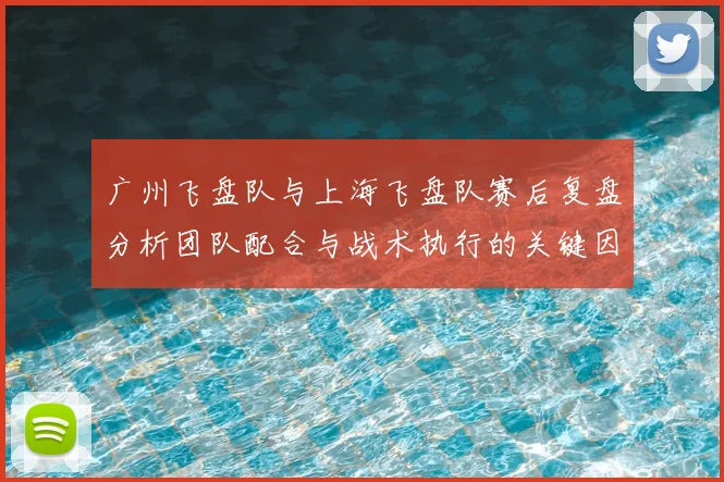 广州飞盘队与上海飞盘队赛后复盘分析团队配合与战术执行的关键因素