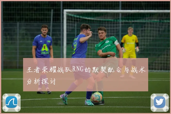 王者荣耀战队RNG的默契配合与战术分析探讨