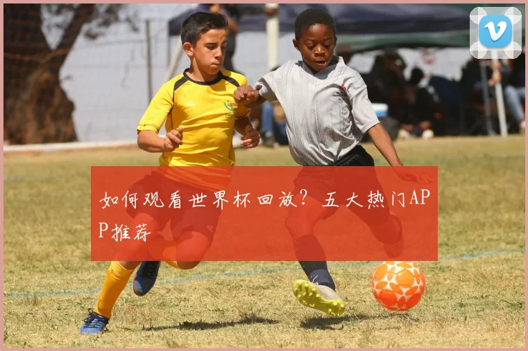 如何观看世界杯回放?五大热门APP推荐