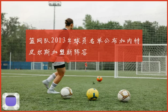 篮网队2013年球员名单公布加内特皮尔斯加盟新阵容