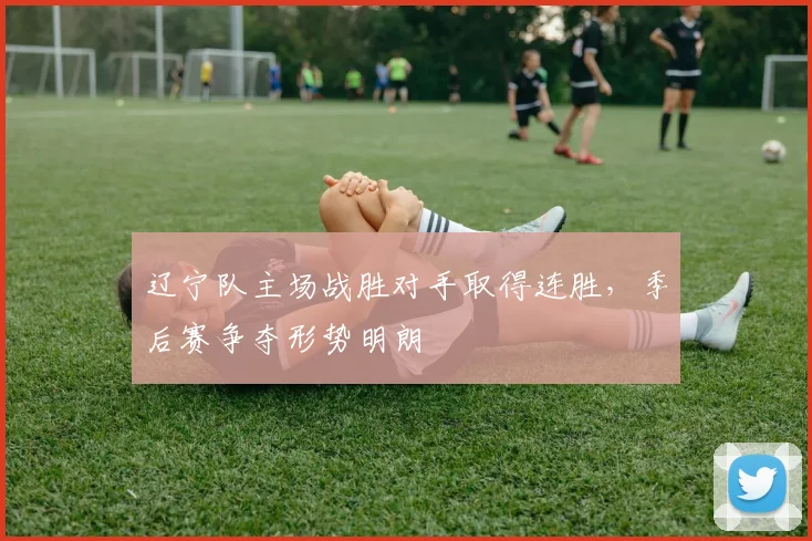 辽宁队主场战胜对手取得连胜,季后赛争夺形势明朗
