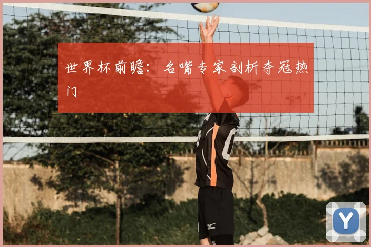 世界杯前瞻：名嘴专家剖析夺冠热门