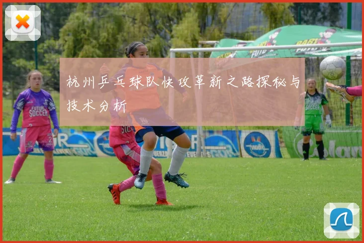 杭州乒乓球队快攻革新之路探秘与技术分析