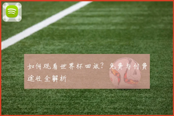 如何观看世界杯回放?免费与付费途径全解析