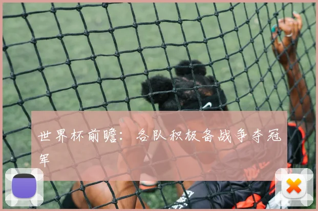 世界杯前瞻:各队积极备战争夺冠军